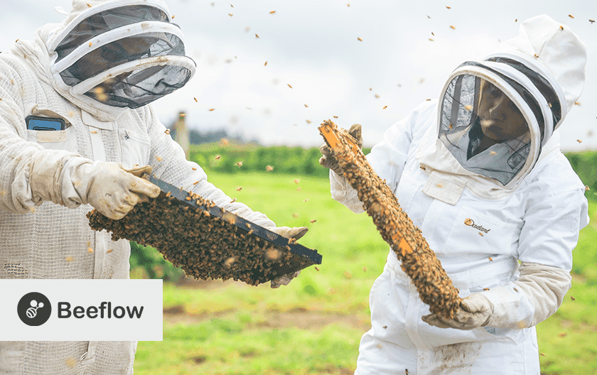 A new paradigm in crop pollination