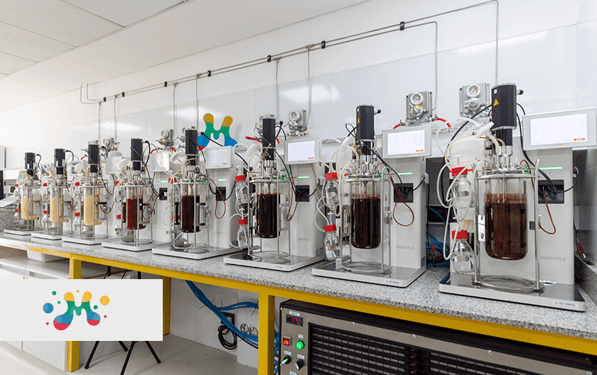 Replacing petrochemical food dyes with fungal ones