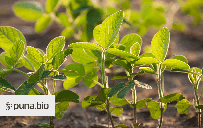 The future of biologicals, powered by living fossils